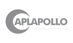 APL Apollo logo