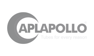 APL Apollo logo